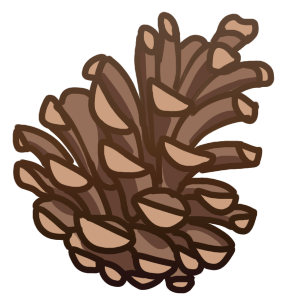 a pinecone.